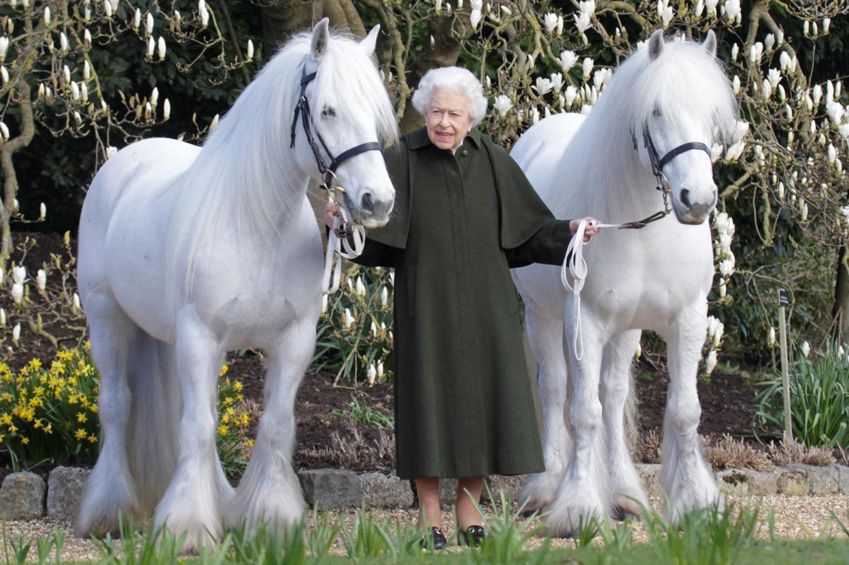 PageSix's tweet photo. Queen Elizabeth II celebrates 96th birthday with regal new photo https://t.co/y1CscrWDnd https://t.co/gH43gVpjFk