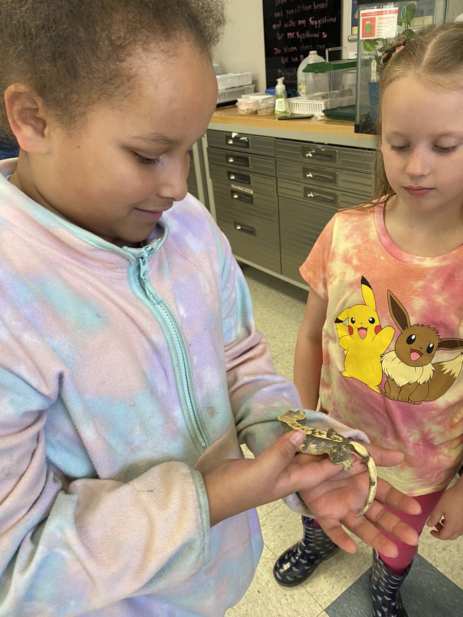 Mrs. Floyd's Class tweet media