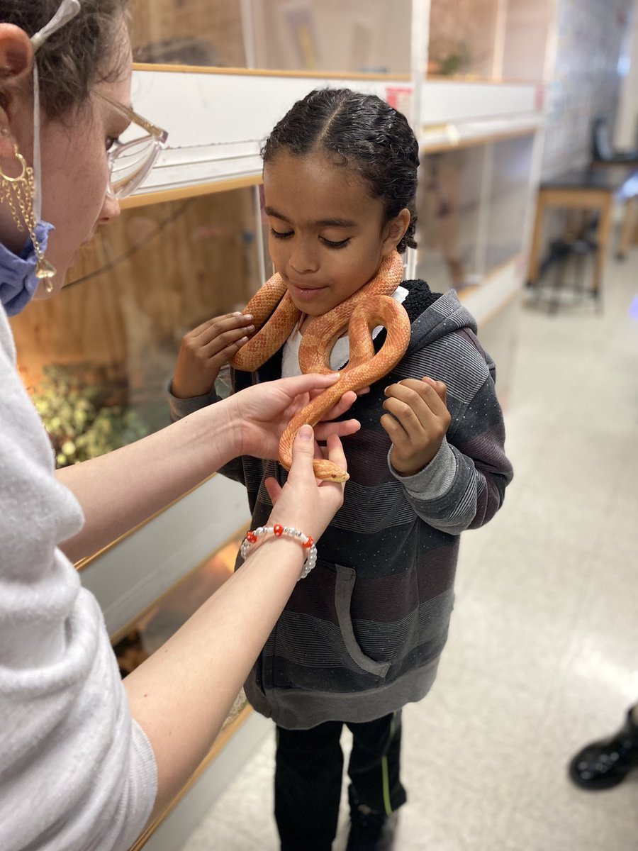 Mrs. Floyd's Class tweet media