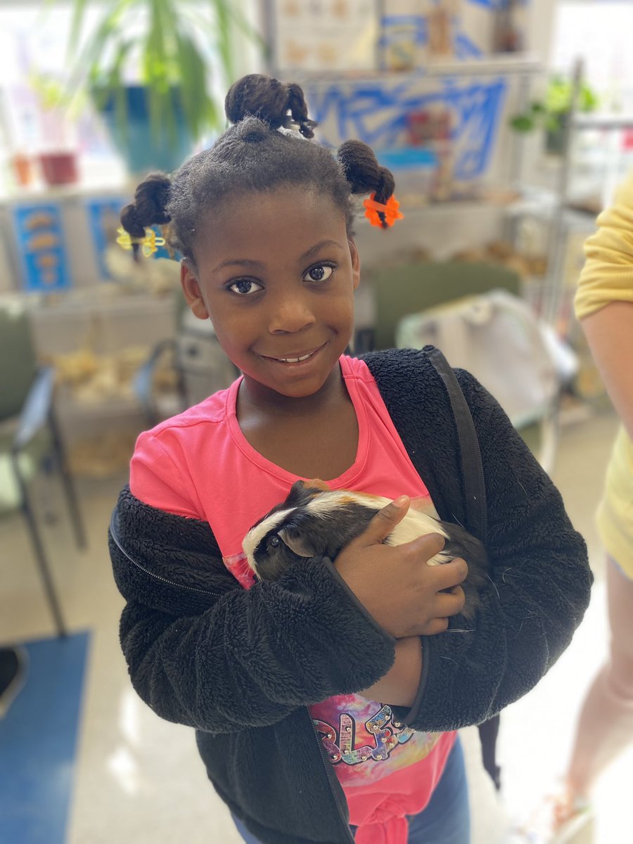 Mrs. Floyd's Class tweet media