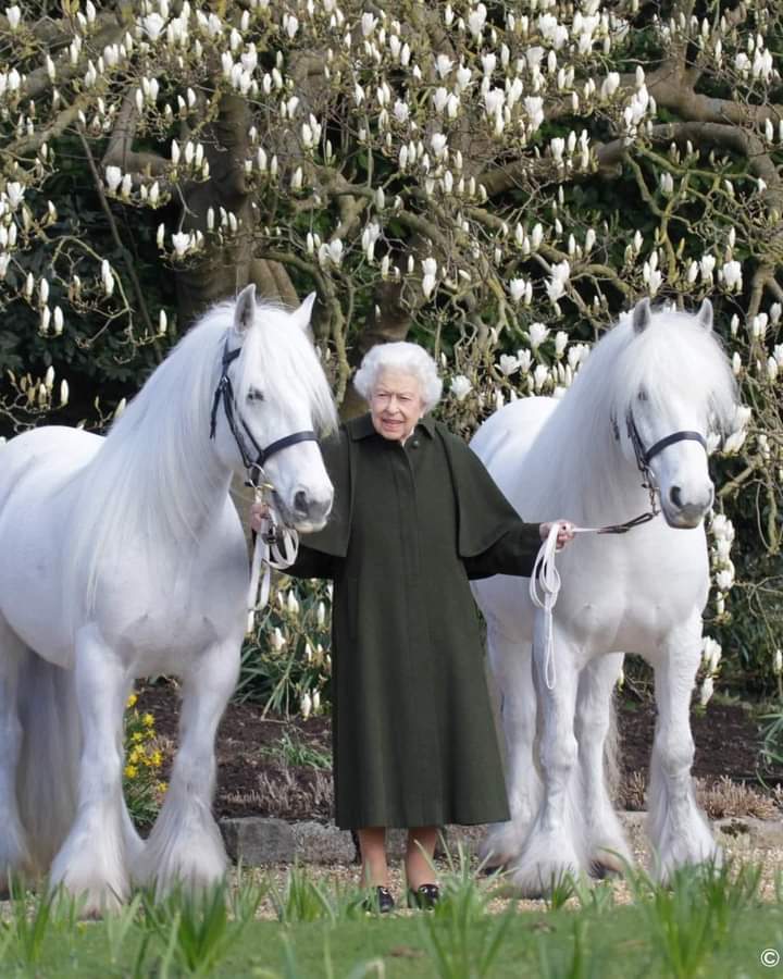 ZonePresse_'s tweet photo. La reine Elisabeth II fête ses 96 ans aujourd'hui ! 🥳 https://t.co/9oAILhM3SL