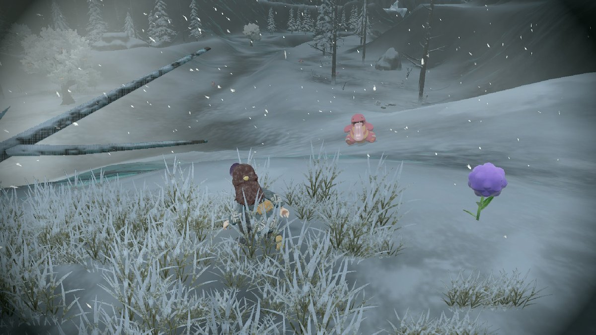 PiperSwitch's tweet photo. #PokemonLegendsArceus #NintendoSwitch https://t.co/XhmuQn5M2I