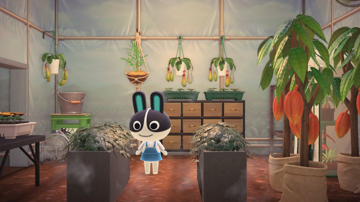 PiperSwitch's tweet photo. #AnimalCrossing #ACNH #NintendoSwitch https://t.co/XLDs2ahCXr