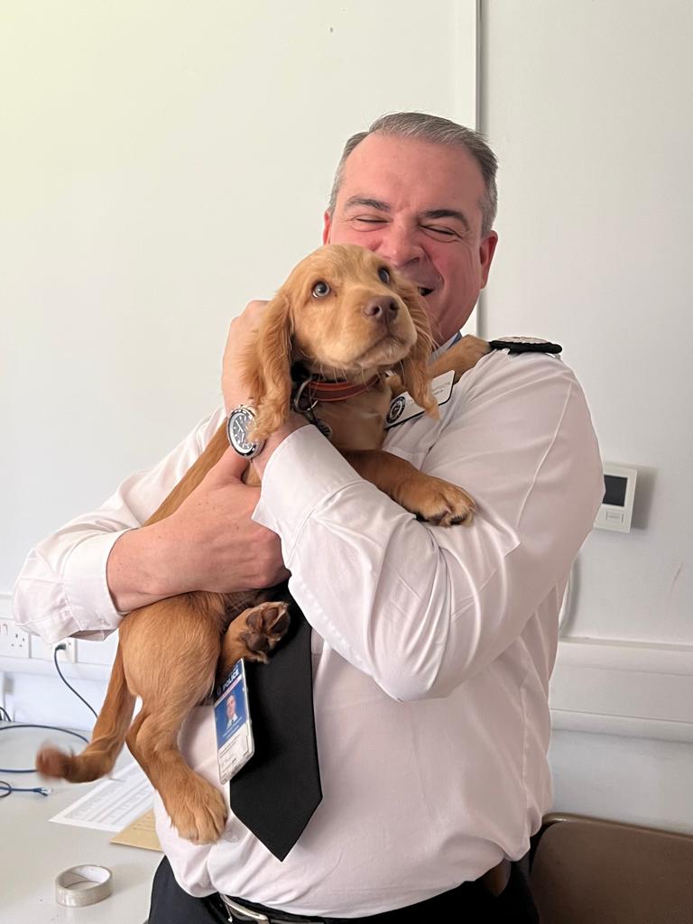 WMPDogs's tweet image. Cuddles of the highest order for puppy Jaffa today with @DaveThompsonCC. Thank you for popping in to see us (&amp;amp; the dogs) Sir. Always great to see our pups bringing smiles to people🐾 #leadership #appreciation