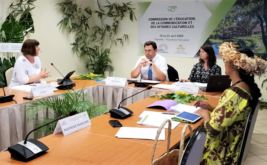 ParlDiplomacy's tweet photo. #CAPF's @mflalonde presented her report on the use and promotion of French in the Francophone space to the #CECAC, noting that "French is an official or working language of a large number of international organizations" @APFfrancophonie https://t.co/GcxiPqvZbF