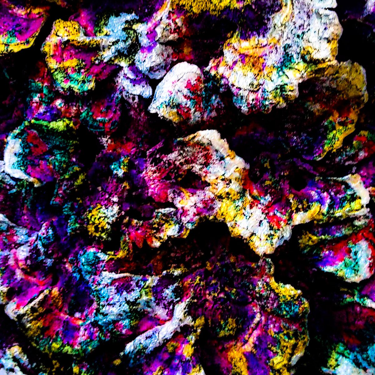 VitaliyGing's tweet photo. Experiments continue.  All the mushrooms in our area and the paints that I make have already tried.  Your feedback inspires me.  I noticed that #NFT is more digital art applied filters

#NFTs #NFTCommunity #nftcollector #nftphotography https://t.co/Zmctyexpe3