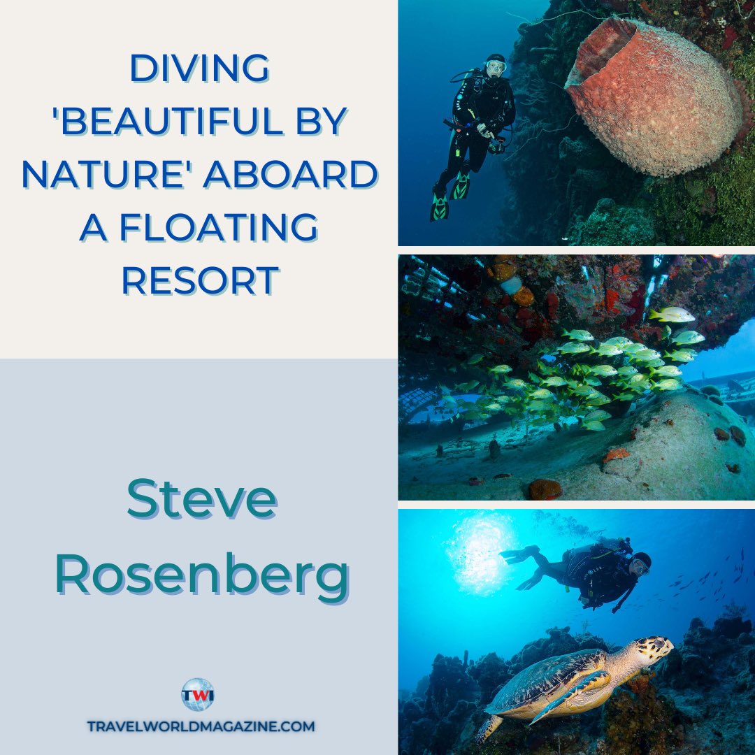 TravelWorldMag's tweet photo. As COVID restrictions have lifted, divers have found more opportunity to embark on new travel plans and interact with marine life. Dive into Steve’s scuba adventures in the Turks and Caicos islands at the link in bio! 🤿 https://t.co/MBb3hrwvlU