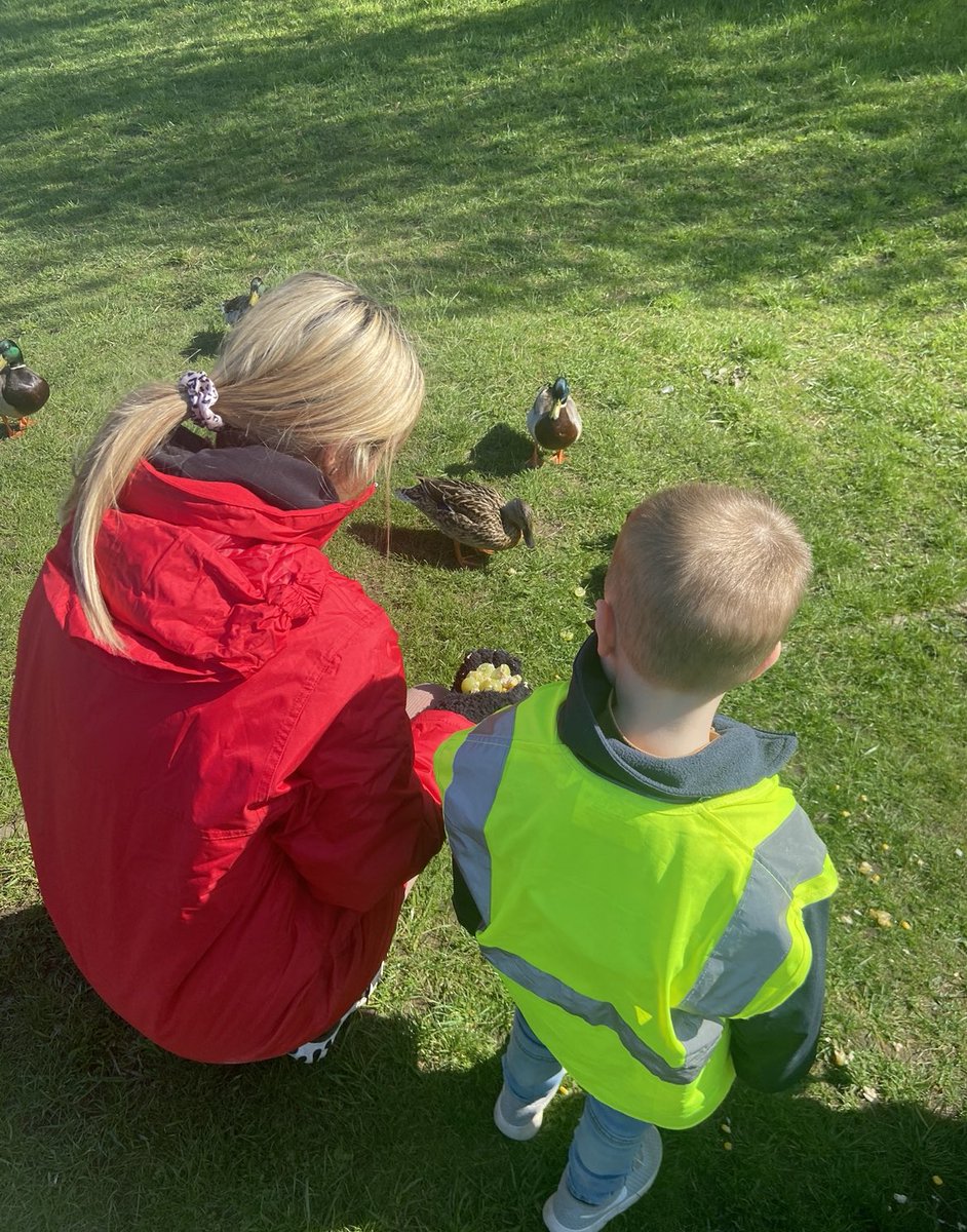We previously spotted ducklings on our spring walk! Today we decided to research what is safe for ducks to eat, create our own food mix, then take a walk to the local pond to feed them. Did you know this is what is good for ducks to eat🦆?