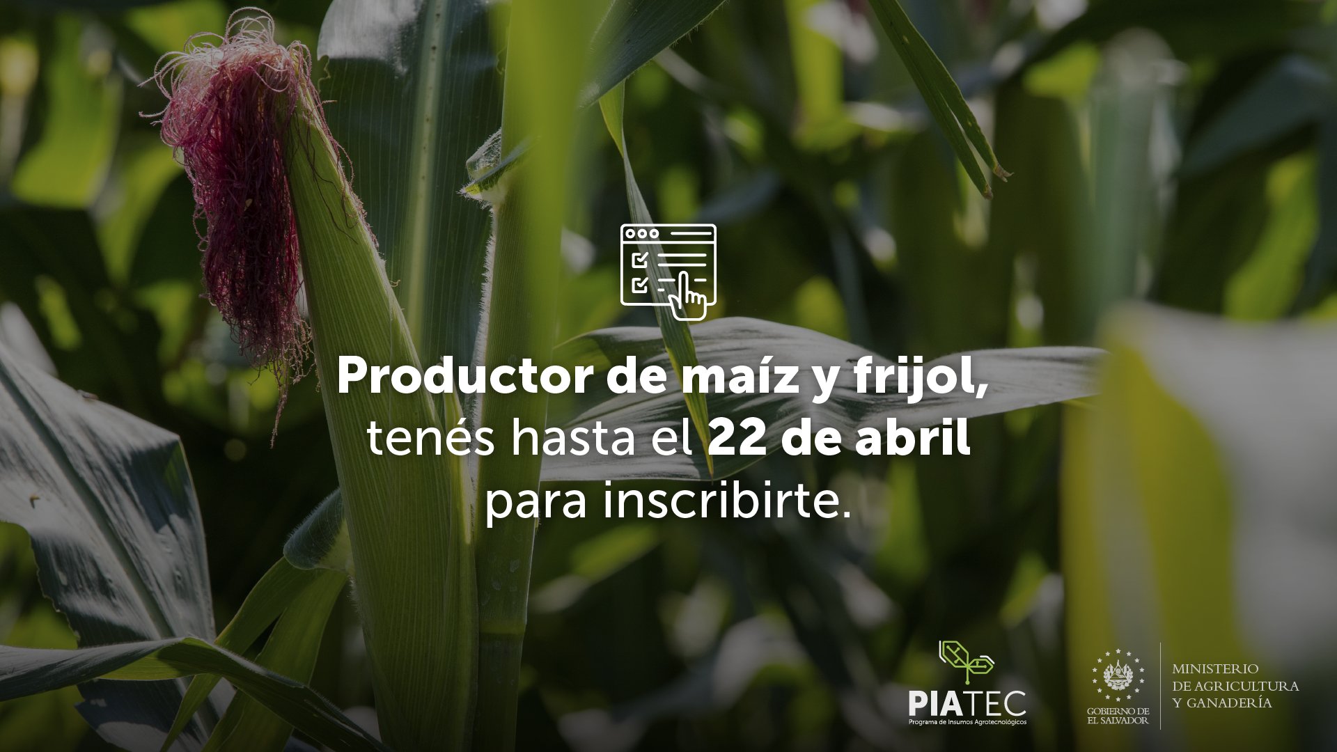 MAG entregará 400,000 paquetes agrícolas a productores antes de iniciar