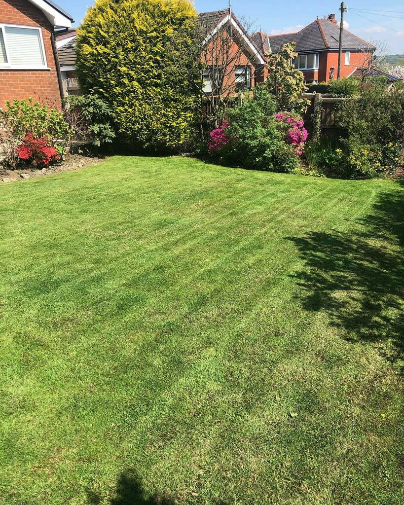 TLCBury's tweet photo. Early Summer treatments starting next week #healthylawn #loveyourlawn #callforaquote #tlc #tlcbury #totallawncarebury #lawntreatments #lawntreatmentsbury #lawnmowing #lawnmowimgbury #mowing #mowingbury #gardenclearance #gardenclearancebury #lawnmaintenance #lawnmaintenancebu… https://t.co/n2oKlxE3QT