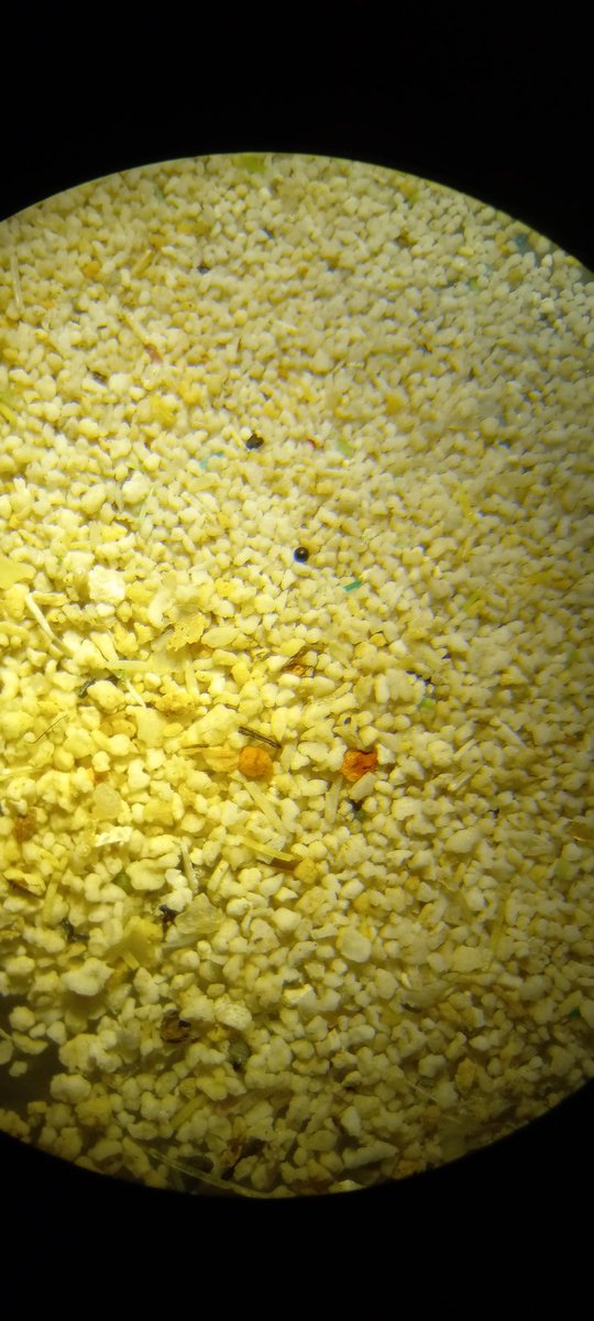 We know they are out there, we only need more effective methods to get them out. #microplastics #nanoplastics #environment pic.x.com/M5YT1FZYvX