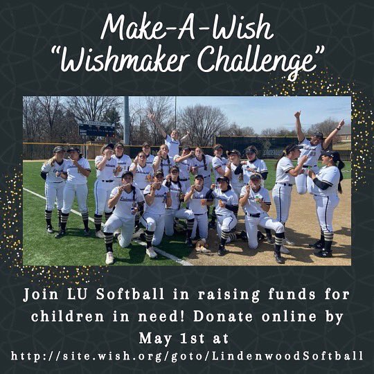Lindenwood Softball tweet media
