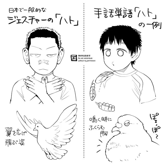 ジェスチャーの「ハト」と、手話の「ハト」の一例では、ハトという生き物のどんな様子を切り取っているかが全然違う。ノナは手話の「ハト」を知らなかったので、ジェスチャーになってしまっています。 https://t.co/Jhjbou2CMg 