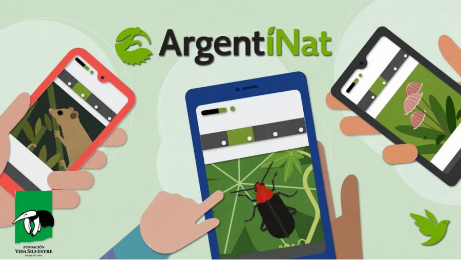 APNLaPampa's tweet photo. 🌱 SE VIENE LA COMPETENCIA NATURAL DE LA CIUDAD 2022

El Museo Provincial de Historia Natural, informa que se acerca una nueva edición de la Competencia Natural de la Ciudad #CNC2022 con la participación de localidades de La Pampa.  

Info ➡️ https://t.co/rRTpLcfTWD https://t.co/72mcq25JEG