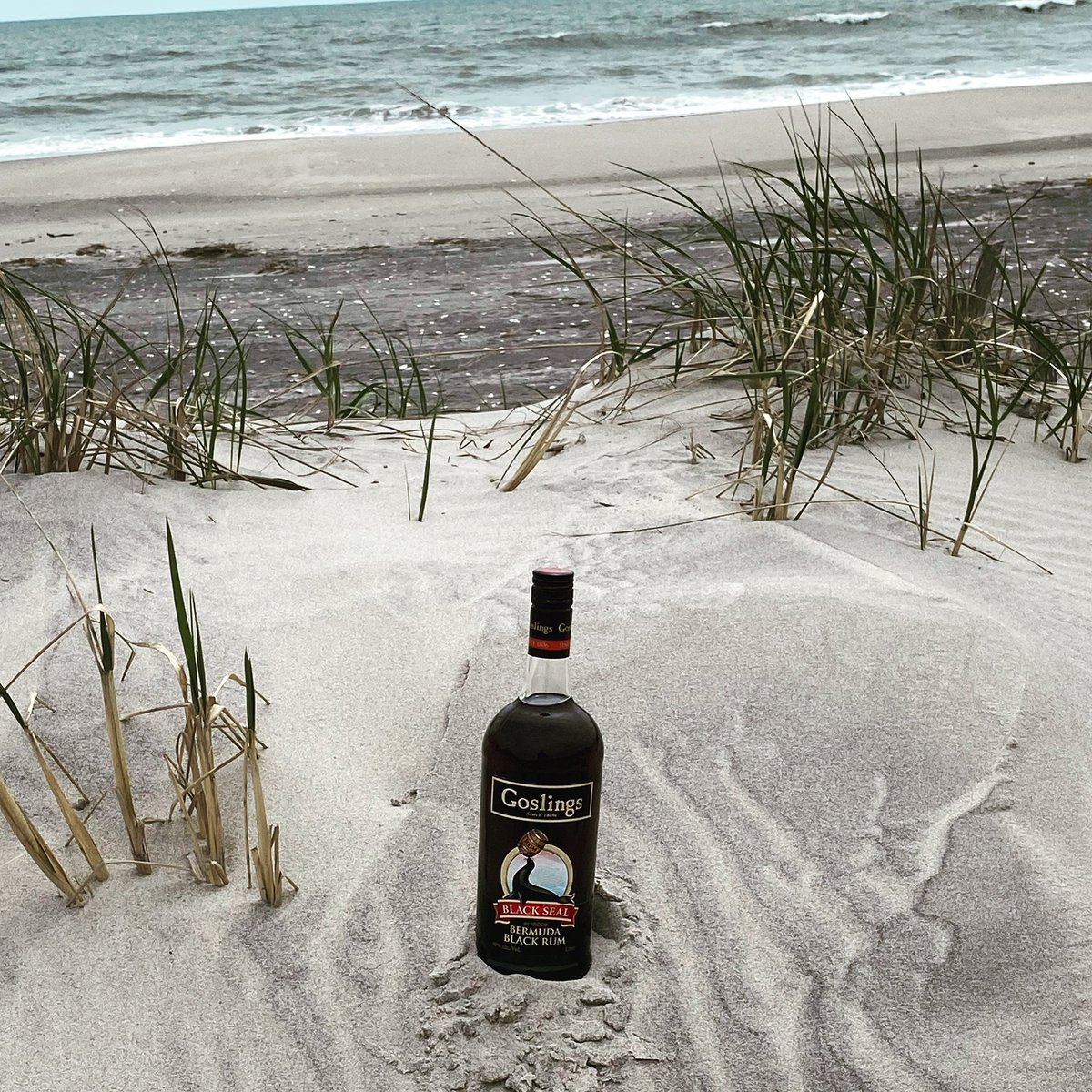 rumrunner311's tweet photo. Ahoy! There be treasure here in Avalon NJ #goslingsrum https://t.co/Xx7ig7TBv1