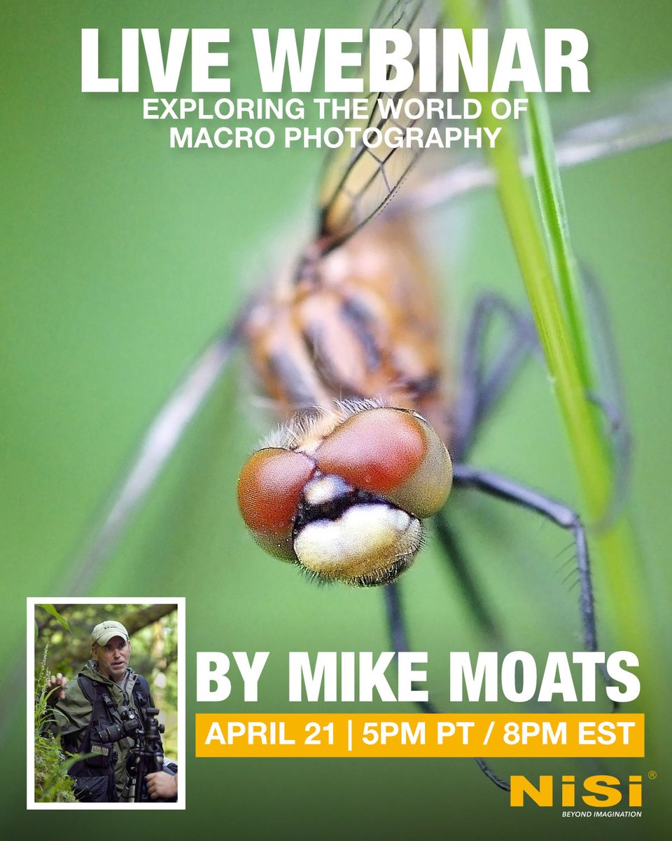 Don't miss out on today's free webinar with Mike Moats (@tinylandscapes)! It will be streamed live on YouTube and Facebook. For the streaming links visit nisi.pro/mikewebinar

See you there!