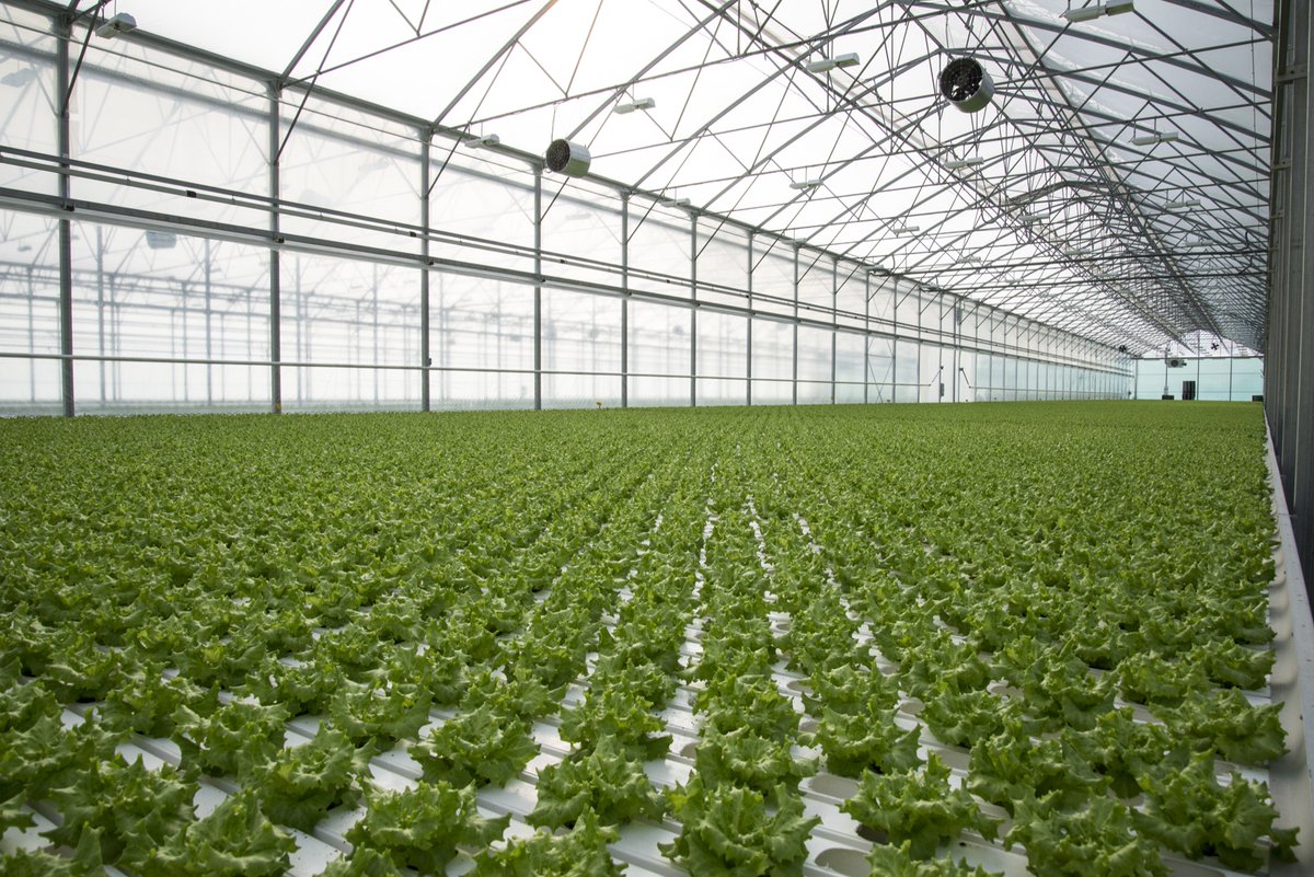 L'innovazione nell'#agroalimentare e lo sviluppo del primo Hub Agrifood regionale. Agricoltura di precisione, difesa fitosanitaria, economia circolare, domotica applicata al centro del confronto tra <a href="/Confagricoltura/">Confagricoltura</a> <a href="/UninaIT/">Unina Federico II</a> e <a href="/CampaniaCompete/">Campania Competitiva</a>. 19.35 <a href="/RaiTre/">Rai3</a>  <a href="/TgrRaiCampania/">Tgr Rai Campania</a>