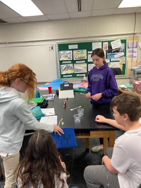 Rube Goldberg Projects in Science class