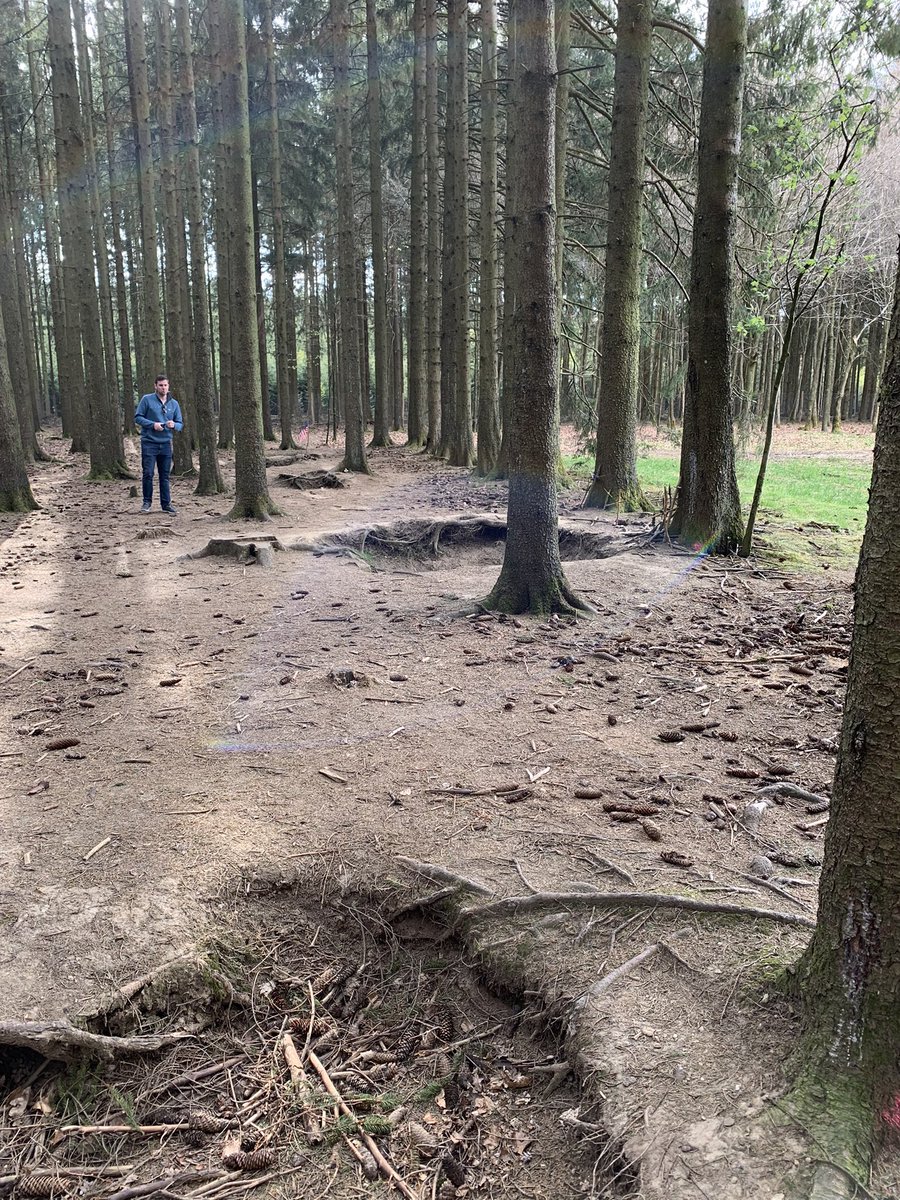 WHGlobalTravel tweet media