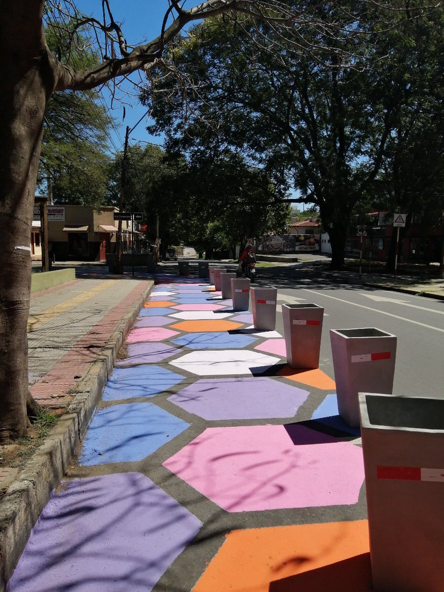 muvhpy's tweet photo. 🚸Conocé las intervenciones de urbanismo táctico ganadoras del concurso Calle.Idea🚥
📍¿Reconocés esta plaza de Asunción? El equipo de alumnos del Prof. Alban Martínez usó macetas con plantas nativas y mucho arte para crear dársenas y mejorar la seguridad en los cruces peatonales https://t.co/1jkcGSN1gi