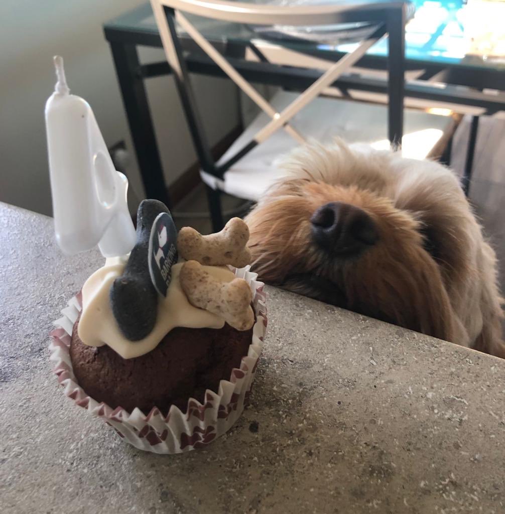 Happy Birthday boy!!🥳🎂