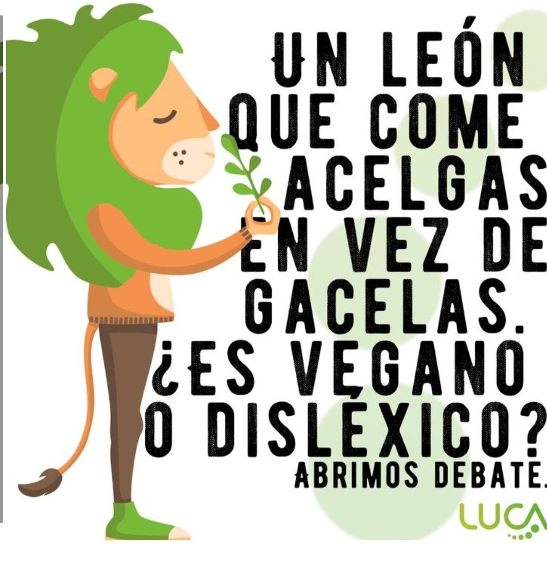 Primera sesión presencial del curso: Cómo entender y afrontar la dislexia en <a href="/cfievalladolid/">CFIE VALLADOLID</a> con <a href="/vallalexia/">vallalexia</a>

Nos ponemos en los 👟👟 del alumnado con dislexia para poder dar respuesta a sus necesidades
✔al leer
✔al escribir
✔al calcular
✔con el 🕜

#FormacionCyL
<a href="/educacyl/">Educación JCyL</a>