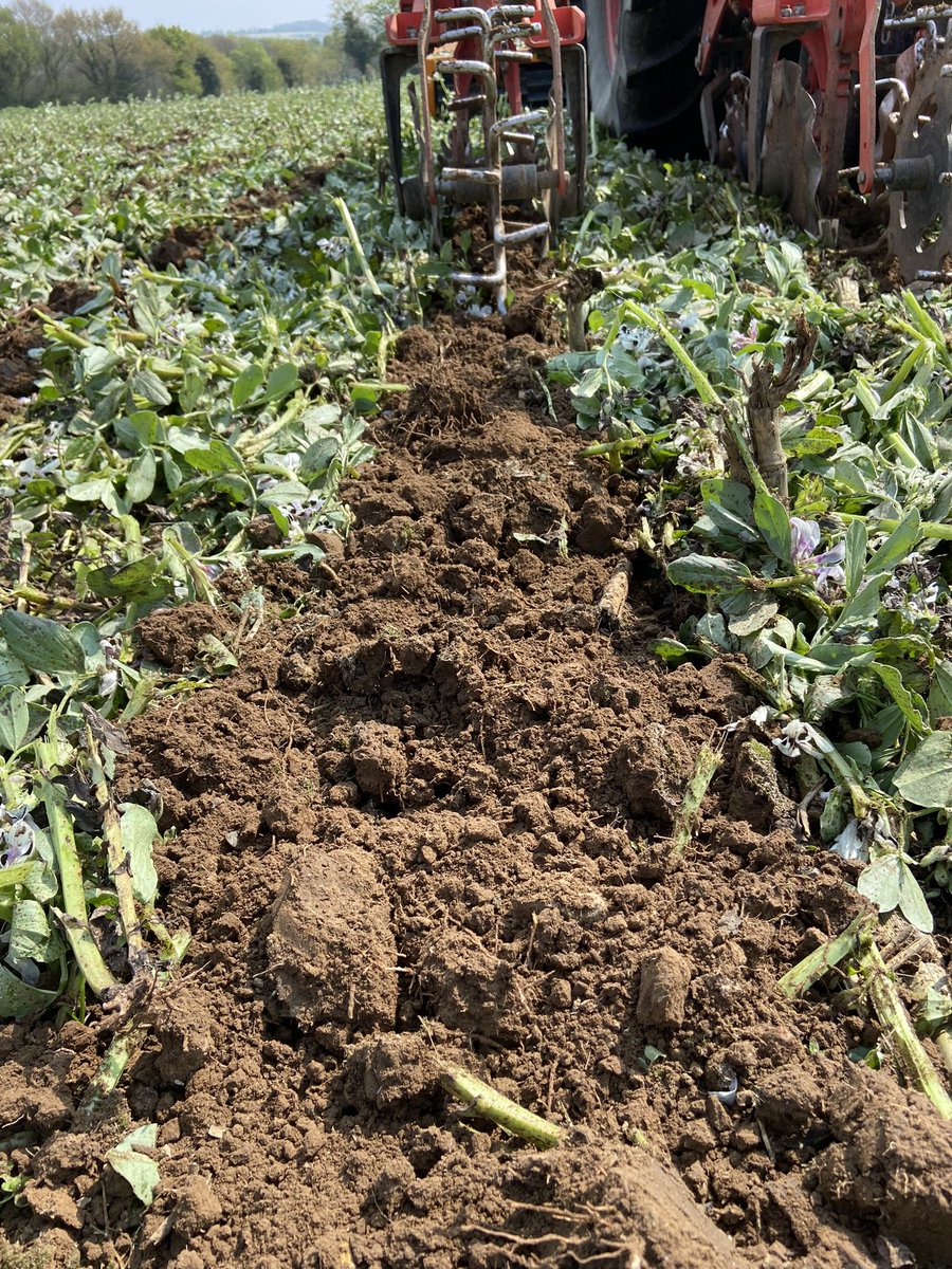 YvesPierrre's tweet image. Là on tiens le combo gagnant le boulot est top 👍 
#acs #striptill #maïs #carbone #azote