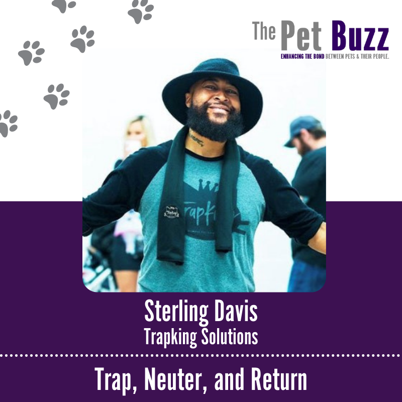 ThePetBuzz's tweet photo. This week on the show, Petrendologist Charlotte Reed talks with @the_og_trapking about Trap, Neuter, and Return. 

Tune in @ https://t.co/Hf8THkFsVO

#ThePetBuzz #pettalk #petnews #dogparent #dogparents #petparent #petpodcast #petpreneur #tnr #communitycats #trapneuterreturn https://t.co/XnDZy6mRxq