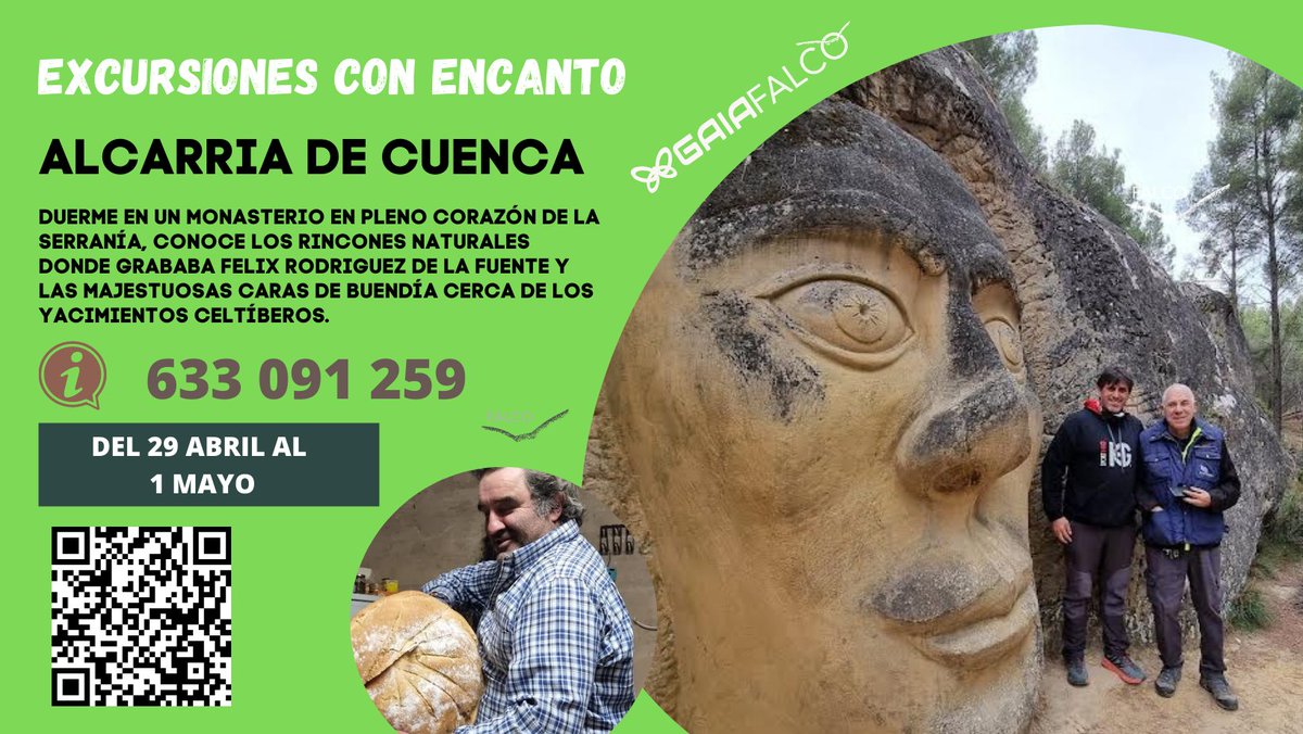 Gaia_Falco's tweet photo. Excursión del 29 abril al 1 mayo a #Cuenca conoce La #Alcarria donde paseo #camilojosécela y las rocas tienen cara #lascarasdebuendia duerme en un #Monasterio y pasea con #osospardos #lobos donde #felixrodriguezdelafuente trabajó el #hombreylatierra 
Info: https://t.co/h20v7AlMyP https://t.co/qGl7F4F4f6