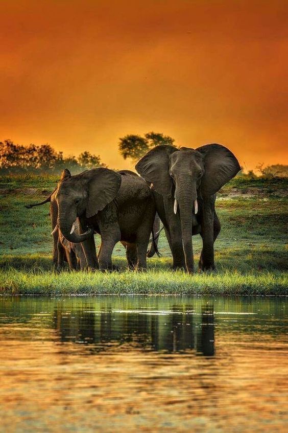 KatanaHugo's tweet photo. Good evening my friends !
#photos #photography #evening #sunsets https://t.co/xihnMv1v2x
