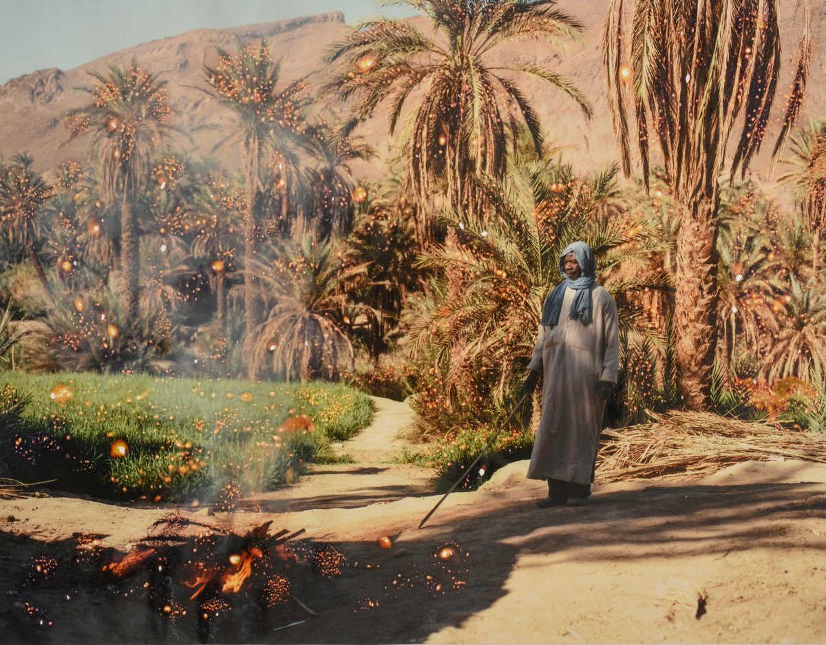 Our Community Vote nominees are <a href="/_AcaciaJohnson/">Acacia Johnson</a> ❄️ <a href="/shesaidred/">shesaidred; n. córdova</a> 🧎🏻‍♀️ <a href="/SeifKousmate/">Seif Kousmate</a> 🏜 

Quantum Token/ Key holders, connect your wallet and vote below!! ✅⬇️ quantum.art/photography/co…