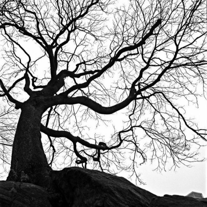 Kali Röhm (@krohm6) on Twitter photo 