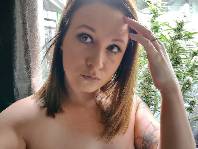 #buyingconent #sellingcontent   &bull; buyingnudes sellingnudes paying femdom findom fetish simp paytoplay<a href="/tag/buyingconent"class="tags">#buyingconent</a><a href="/tag/sellingcontent"class="tags">#sellingcontent</a>