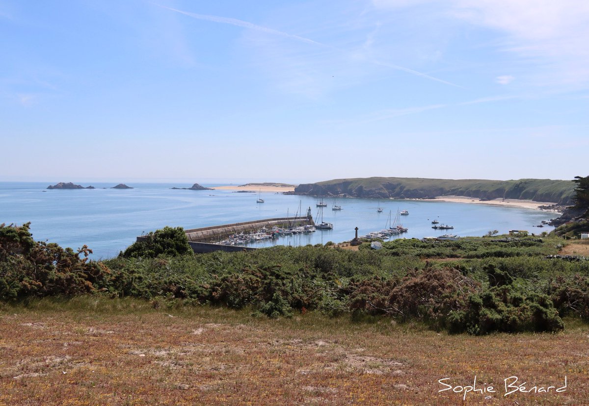 Sophie_b91's tweet photo. Un des joyaux de la Bretagne et du Morbihan, l’île de Houat
Respectons notre si belle Planète 🌍 #houat #iledehouat #Bretagne #Morbihan #MagnifiqueFrance #MagnifiqueBretagne #ThePhotoHour #photo #photographer #ephotozine #baladesympa https://t.co/AwycCs1ssB