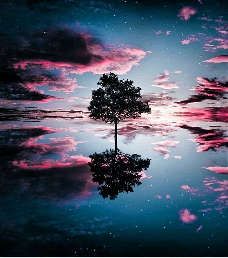 Daniella_C1804's tweet image. Good evening 💫