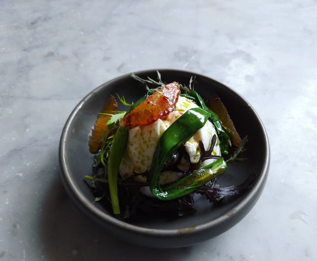 Burrata, blood orange, wild garlic, pine nuts and @charliesleaves On the menu tonight! We’re fully booked this evening but we still have some space for tomo. So if you want to try this👆give us a 📞 Or book via our website! @chef_iainmccarten