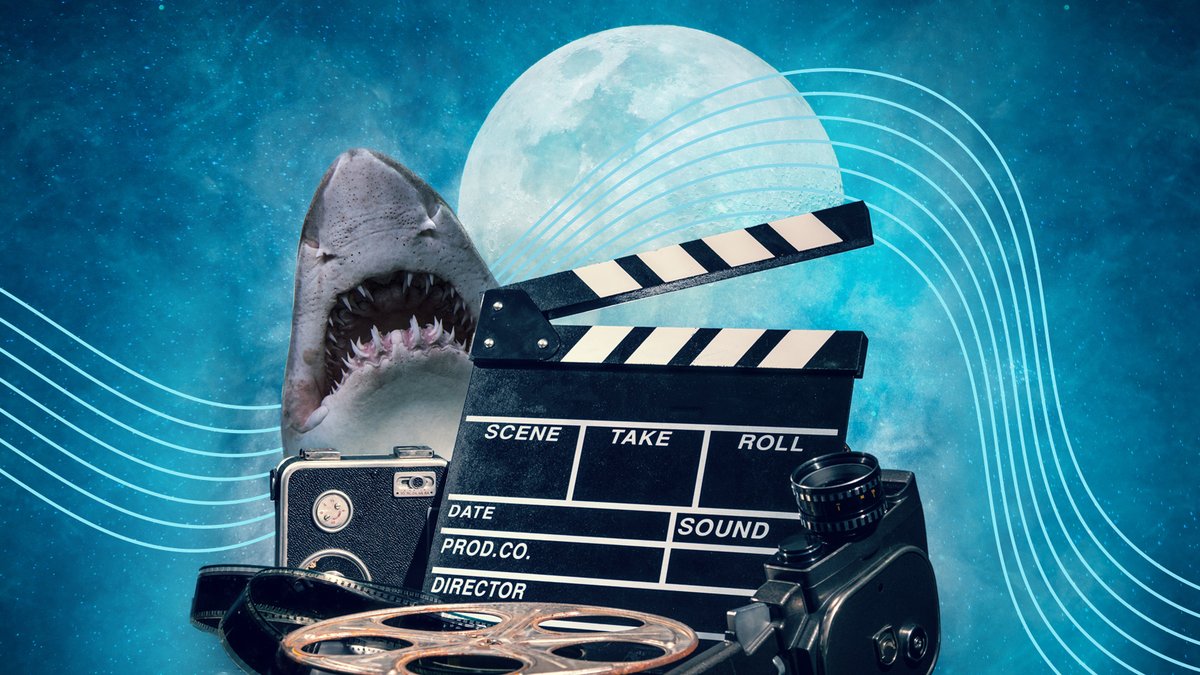 shedoesthecity's tweet photo. 🦈Movie Lovers: This May the @TorontoSymphony presents The Best of John Williams! Enjoy the iconic music of Harry Potter, Star Wars, Indiana Jones, Jaws &amp; more!  It's going to be an incredibly fun &amp; thrilling concert. Tickets will move fast! Get yours now:
https://t.co/T1XtYG1Gf4 https://t.co/uoMayeUQVw