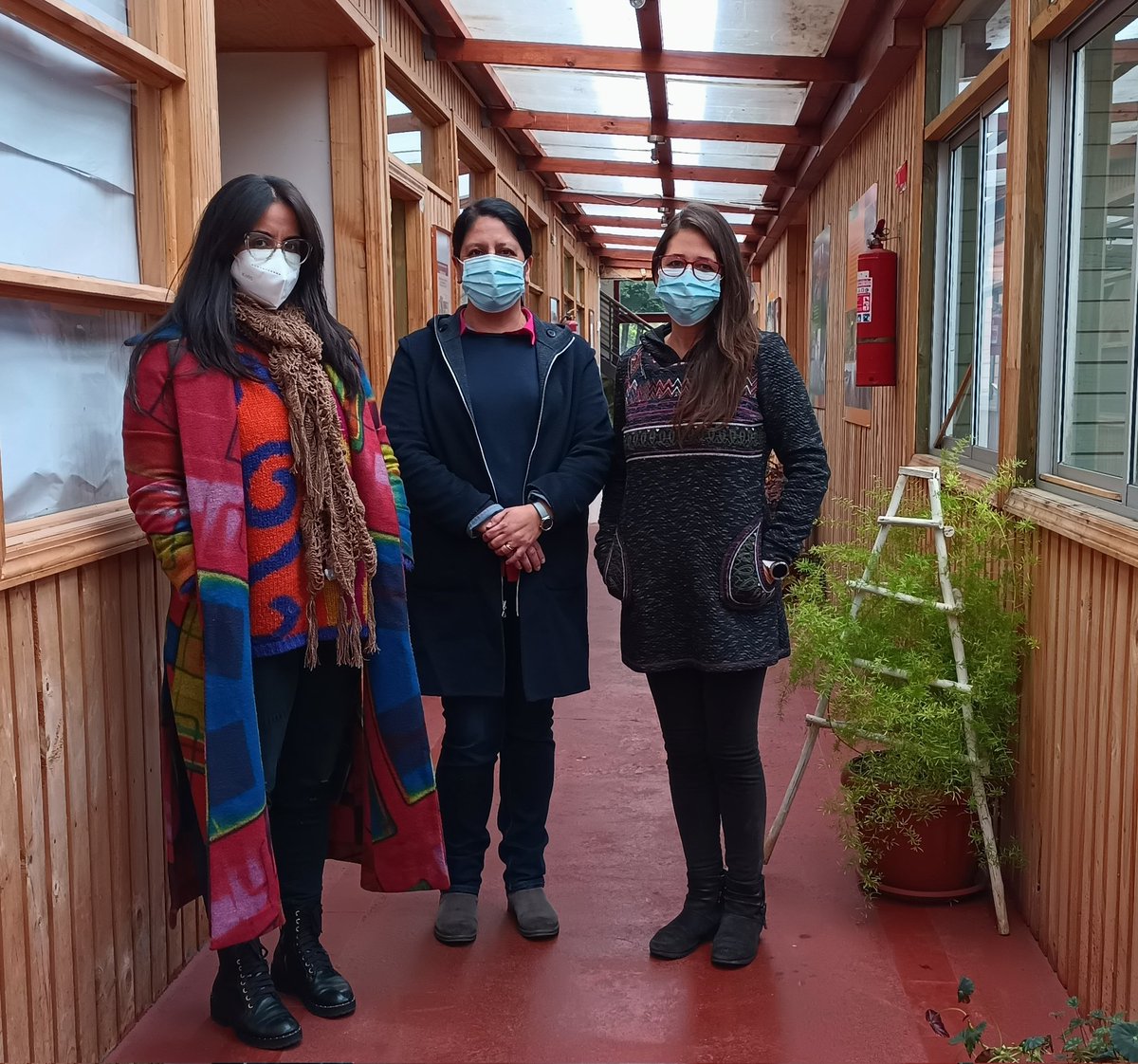 Culturas_Biobio's tweet photo. Seremi @Orly_Pradena visitó a la Ong #CETSUR, institución que forma parte del #PAOCC de @culturas_cl, y conversó con Paula Mariángel Chavarría y Gisela Rocha Durán sobre el trabajo que realizan en torno a lo saberes locales y las culturas alimentarias.
#DemocraciaCultural 🌳 https://t.co/BkuK9YhrjQ