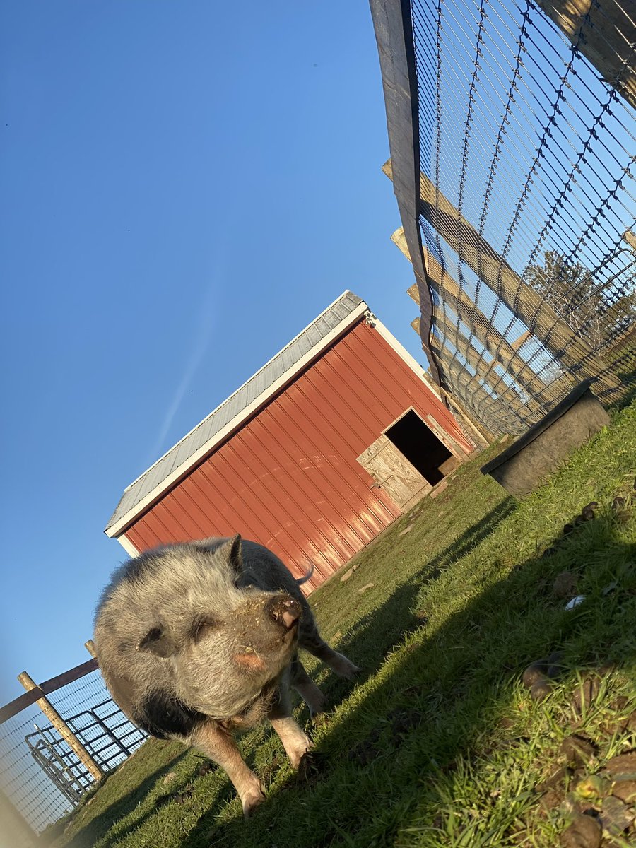 spring and rooting for goodies