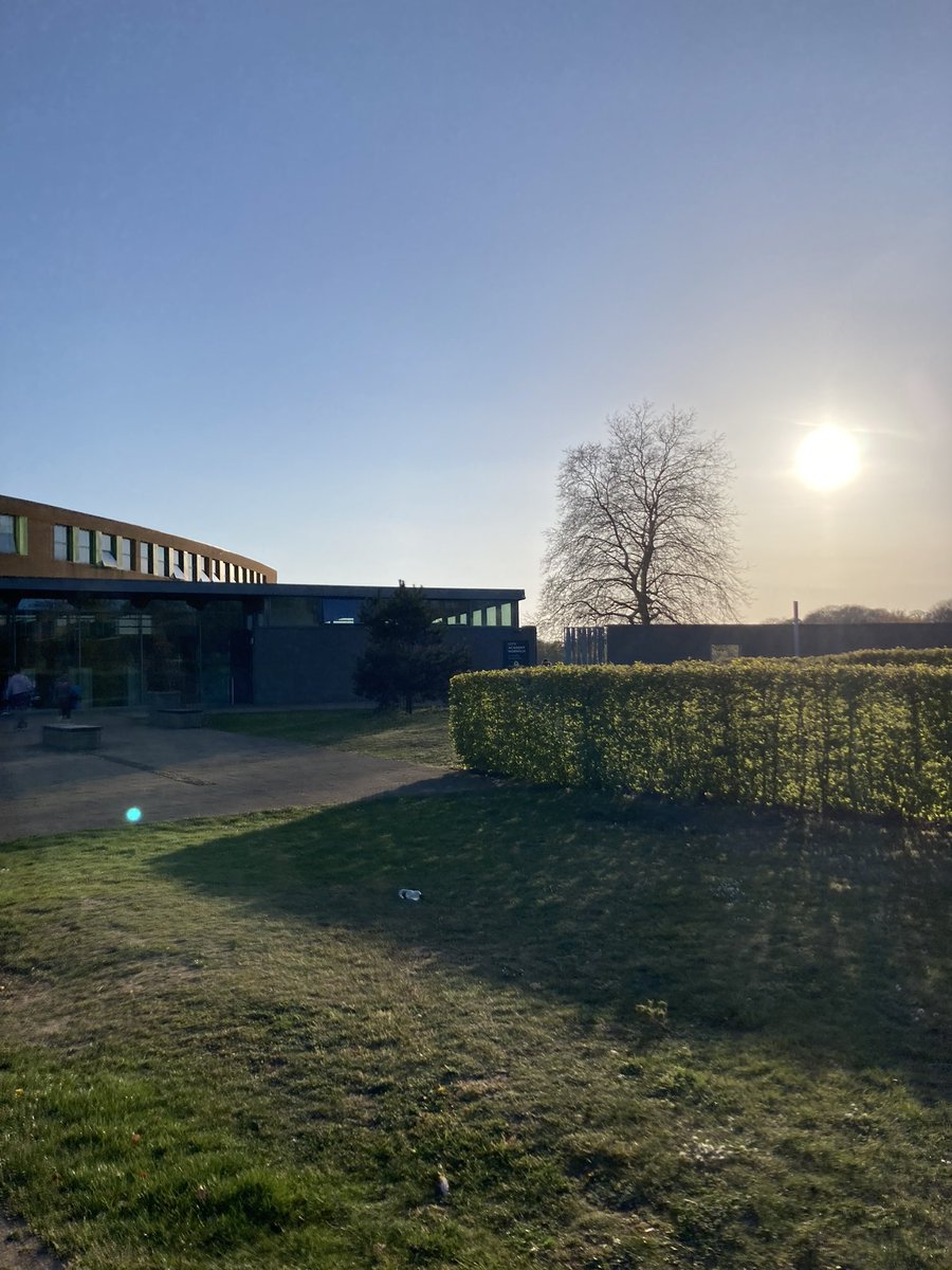 McCarthyNetball's tweet photo. Competitive summer league is back…and it’s actually sunny!! ☀️#dragons #gems #stars #mccarthy #netball https://t.co/LJMpOj335e