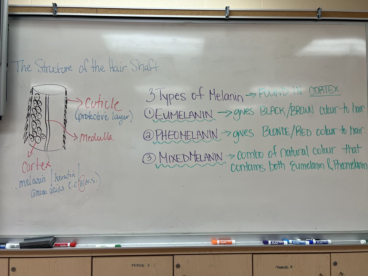 MsSousaCosmo's tweet photo. All about Colour Theory…TXJ 3E…we’re hitting the books &amp; picking up the paint brushes-getting right into the nitty gritty of colour theory! Can’t wait to see all these creative Colour wheel displays we’re making using only our 3 primary Colours ! @CardinalAmbro @DPCDSBSchools https://t.co/c8Al91bvTi