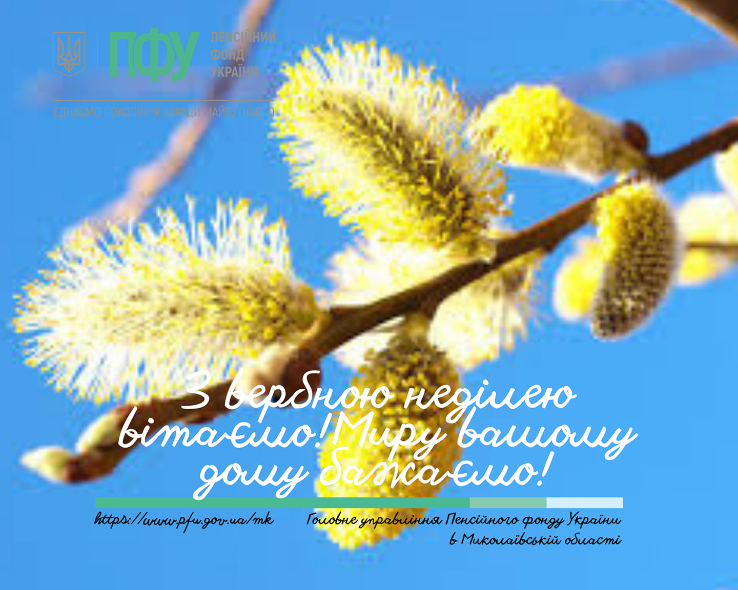 Веточка вербы открытка