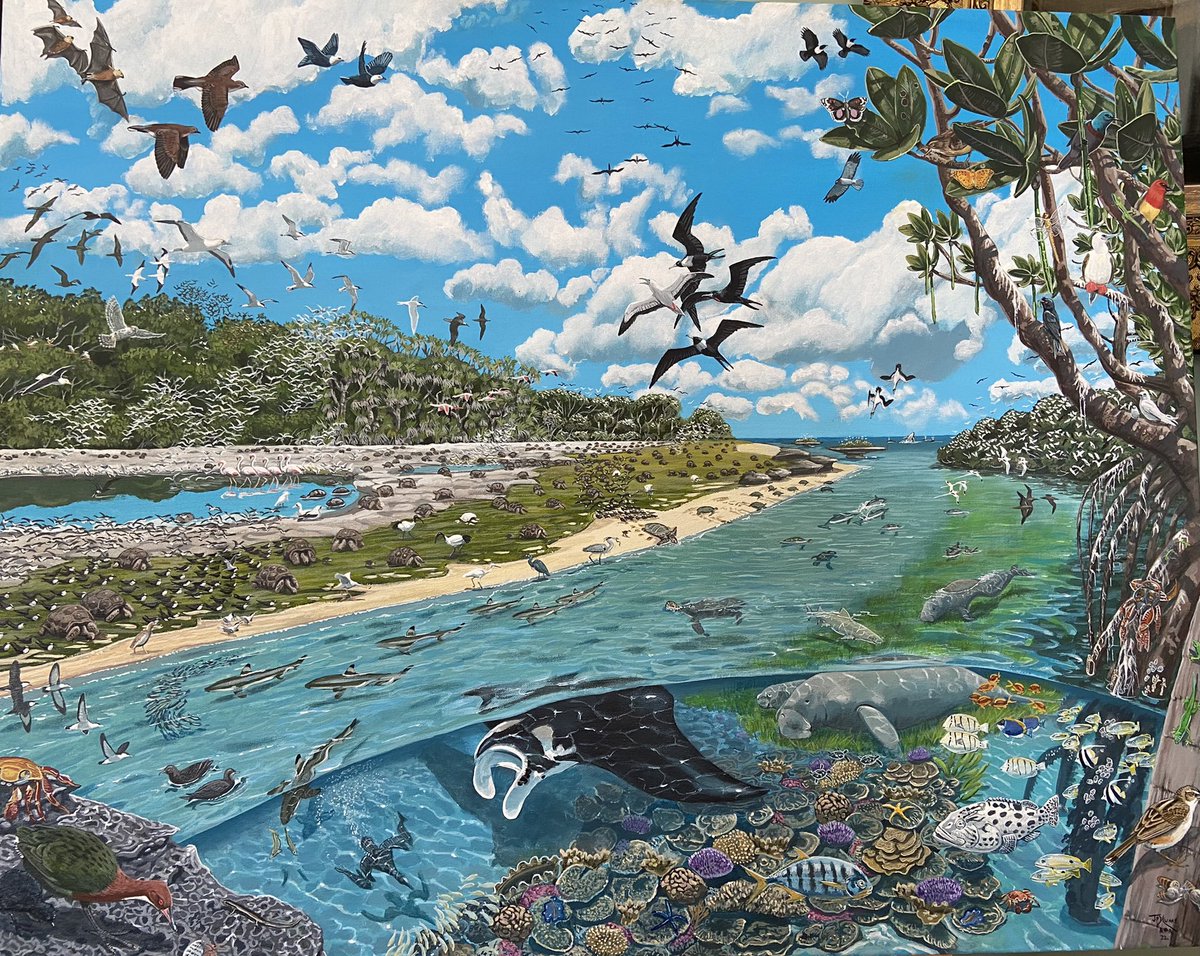 My takeaway image from the #Aldabra50 meeting today. <a href="/NancyBunbury/">Nancy Bunbury</a> <a href="/SIF_Seychelles/">SIF</a> (literally) paint a bright future for the islands and reefs of Aldabra. An inspiring day of brilliant talks and discussion <a href="/royalsociety/">The Royal Society</a> #oceanoptimism