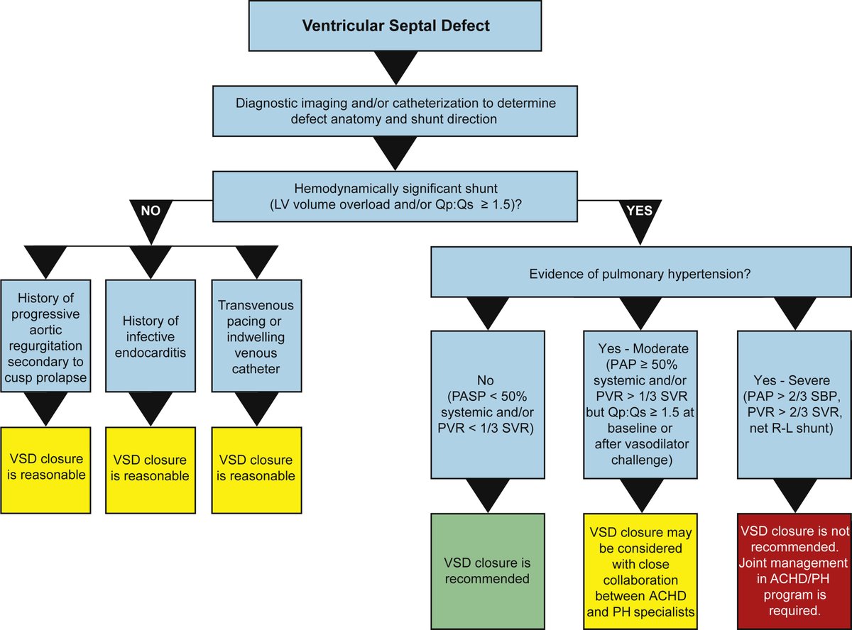 Adult congenital heart disease #ACHD is a growing epidemic, increasingly had by #catheterintervention &amp; other minimally invasive procedures. CCS #Guidelines are hot off the press, w/ evidence-based recommendations on how, when &amp; why 👉onlinecjc.ca/article/S0828-… <a href="/SCC_CCS/">CCS</a>