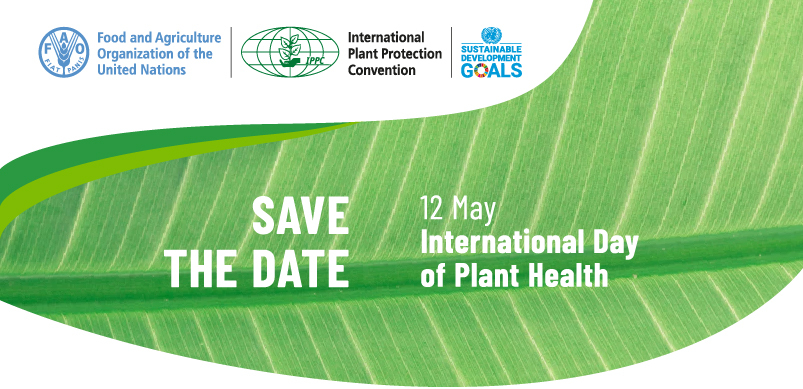 UN Biodiversity (@unbiodiversity) on Twitter photo Be a part of the first-ever celebration of the International Day of #PlantHealth! 🌱🌾🌺🌴🥕
Join <a href="/FAO/">Food and Agriculture Organization</a> and <a href="/ippcnews/">IPPC | International Plant Protection Convention</a> as they observe the very first #PlantHealthDay, under the theme “Protecting plants, protecting life”.
📅12 May, 1:30 p.m. CET
Register:
fao.zoom.us/webinar/regist… Be a part of the first-ever celebration of the International Day of #PlantHealth! 🌱🌾🌺🌴🥕
Join <a href="/FAO/">Food and Agriculture Organization</a> and <a href="/ippcnews/">IPPC | International Plant Protection Convention</a> as they observe the very first #PlantHealthDay, under the theme “Protecting plants, protecting life”.
📅12 May, 1:30 p.m. CET
Register:
fao.zoom.us/webinar/regist…