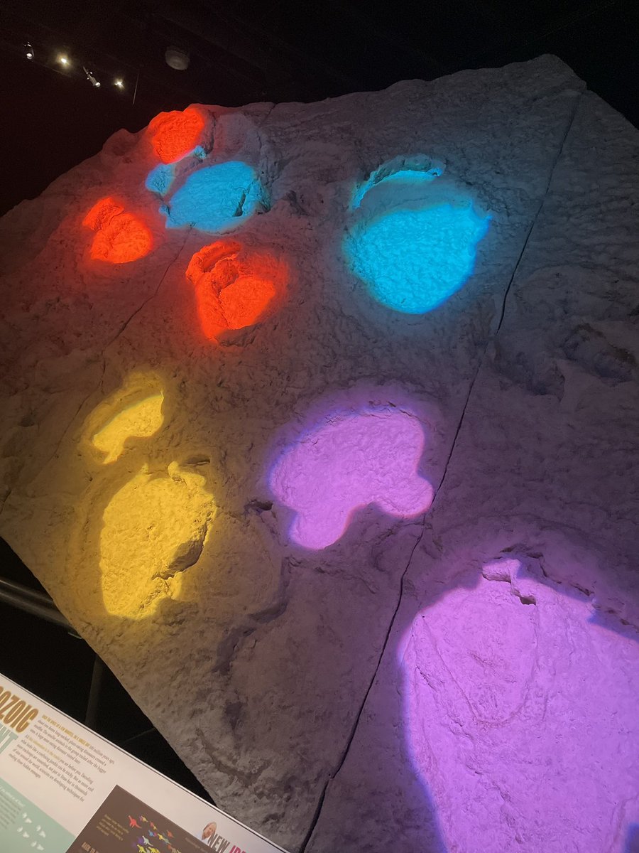 Yesterday and today we took our 7th Gradera to <a href="/COSI/">COSI</a>! They had a blast and so did the staff!! #WRJHProud #ReynProud