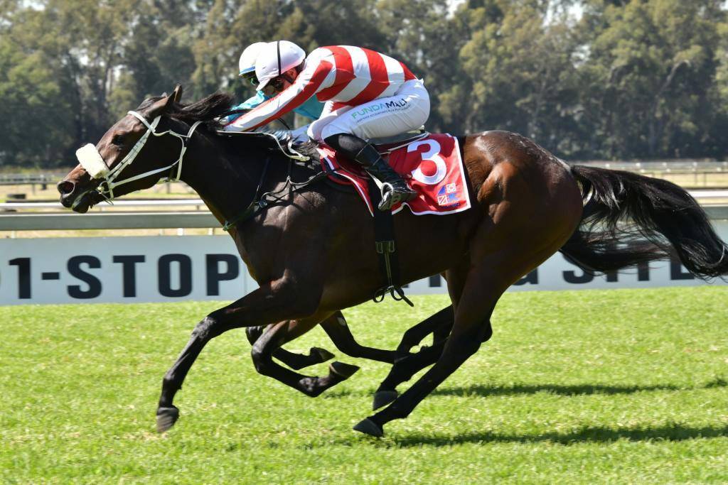 StonehillStud's tweet photo. Stonehill bred, Ray Indigo (Red Ray x Emerald Eye) did us all proud today grabbing a victory for owner/trainer, Chris Jonker. A big congrats to the Jonker family and jockey Ryan Munger from all of us at Stonehill Stud. 👏
•
#horses #horseracing #horsesofinstagram https://t.co/YKZI7AMFCo