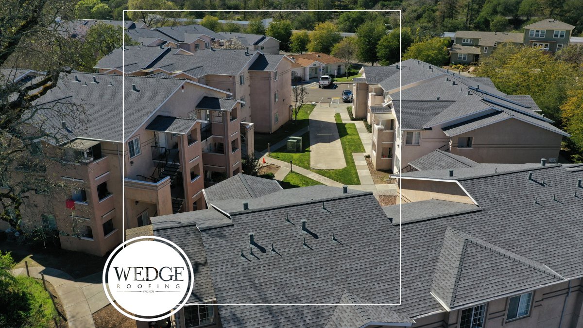 WedgeRoofing's tweet photo. GAF Timberline HDZ Shingle Roof installation on Healdsburg CA apartment complex. https://t.co/82IT3GOuRo
#timberlinehdz #GAFTimberline #GAF #commercialroofing #sonomacounty #Healdsburg @gafroofing https://t.co/LCgpRMi8Yf