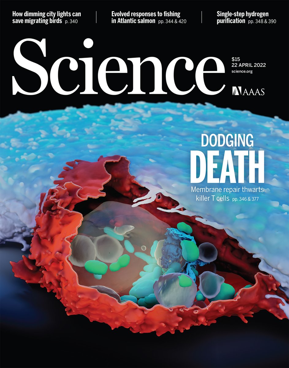 A whole-genome analysis of more than 12,000 cancers, investigating the impacts of traffic safety messages, and revealing new insights into how tumor cells escape death.

Check out what's new this week in Science. ➡ fcld.ly/q21xtsn