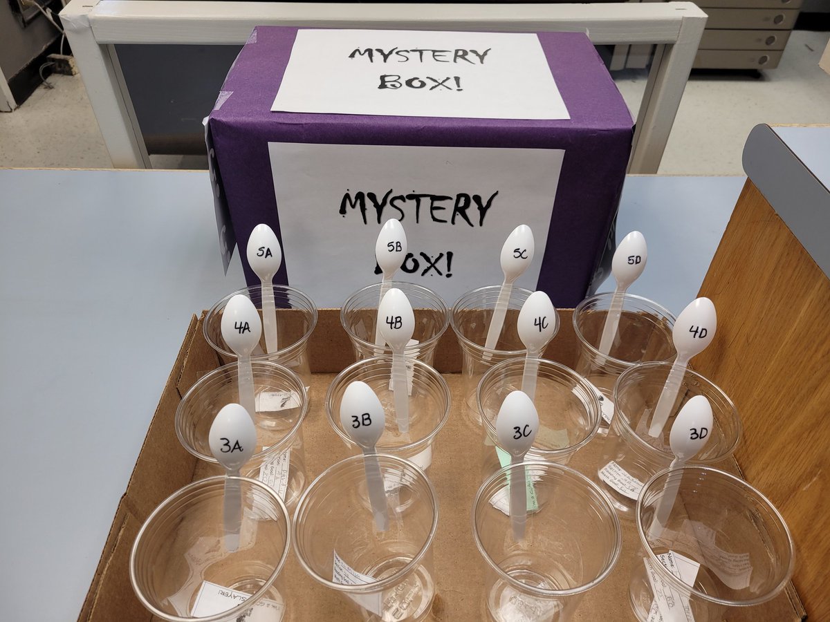 Yaschika Gipson tweet media